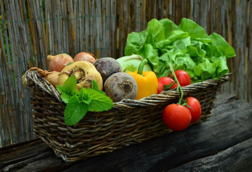 Pěstování zeleniny v zahradním skleníku - výhody a tipy