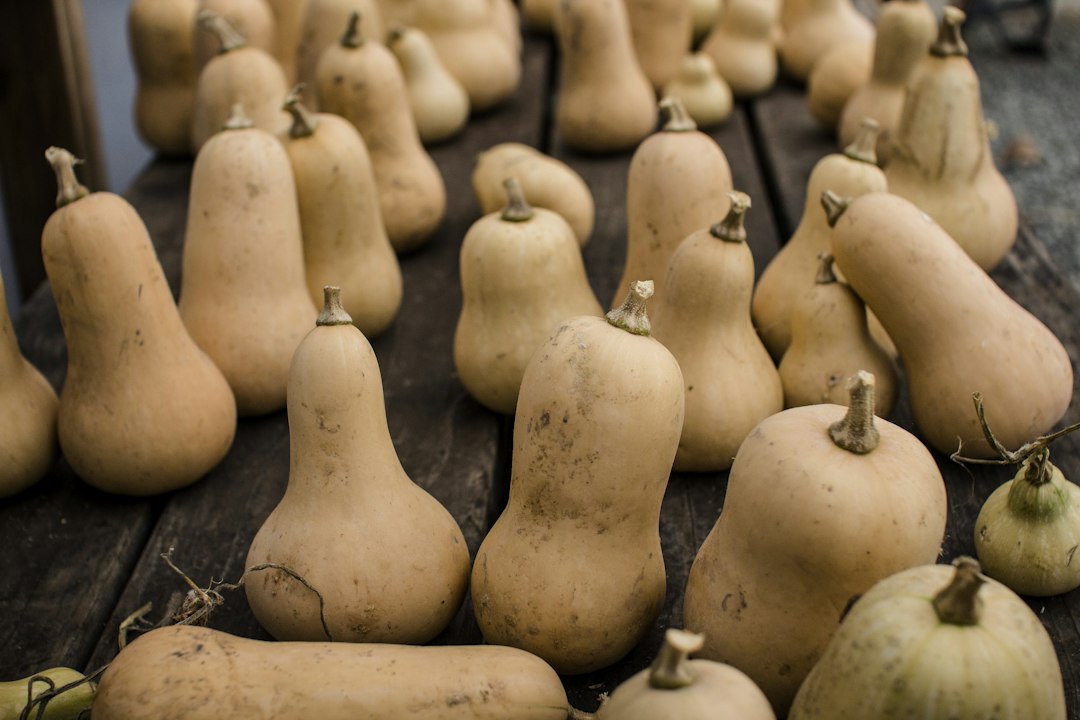 Máslové dýně připravené k prodeji na farmářském trhu